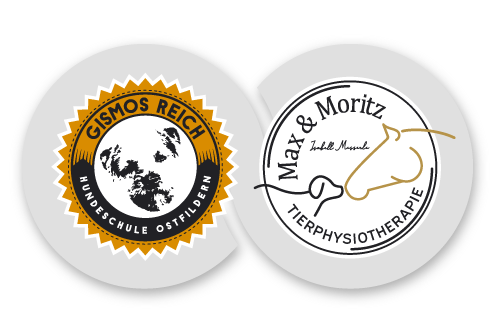 training trifft physio